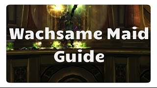 WoW Wachsame Maid Guide Normal  Heroisch  Grabmal des Sargeras [upl. by Ryon]