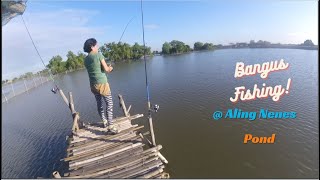 Fishing at Aling Nenes Pond  Bangus Fishing 3rd Session [upl. by Aneerehs]