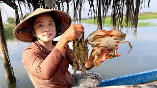 Harvesting Shrimp Crab and Veggies for a FarmStyle Chicken Hotpot with the Family [upl. by Innis]