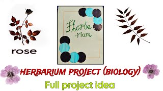 New Herbarium file project biology  herbarium sheet  herbarium specimen  project file [upl. by Moon]