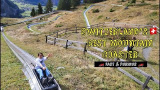 Epic toboggan ride tobogganing fun  Rodelbahn  Moutain Coaster with panoramic alpine beauty🇨🇭😍 [upl. by Anirehtak]