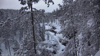 Oulanka Live Webcam Live Stream [upl. by Ocram]