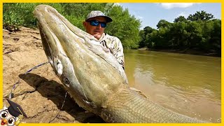 20 Monstruos Gigantes del Río Capturados por la Cámara [upl. by Oliver]