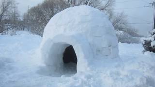 Common Questions About Igloos [upl. by Elynad]