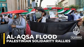 Solidarity protests for Palestine erupt in multiple countries [upl. by Ecnedurp758]