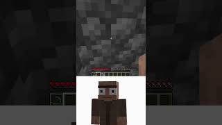 Secret Oi Oi Oi Room in Village shorts meme minecraft [upl. by Oramlub769]