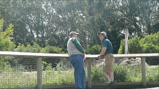 TYPICAL ZOOKEEPER TALK SAN FRANCISCO ZOOKEEPER PRANK EXTRA [upl. by Eldredge]