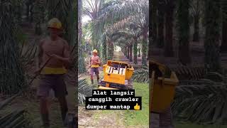 Alat langsir canggih Crawler Dumper petanikelapasawitindonesia petanikelapasawit petanimilenial [upl. by Barnaby614]