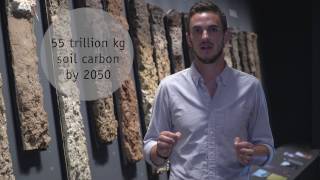 How soil carbon loss could accelerate global warming [upl. by Nibram233]