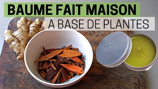 🌿 Comment faire de la pommade ou baume aux plantes médicinales [upl. by Anigar581]