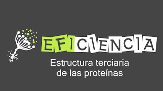 PROTEÍNAS ESTRUCTURA TERCIARIA Dominio proteico Proteína quimérica [upl. by Coltin422]