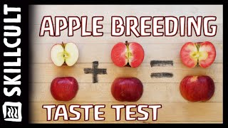 🍎 Test Tasting 12 Apples Grown From Seed 🍎 Plus Heirloom Varieties [upl. by Ahsaekal376]