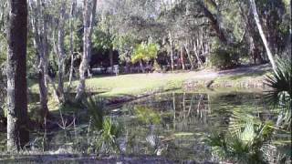 Lakeview Park Disc Golf  Sarasota FL [upl. by Nimajnab]