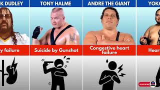 How Famous WWE Wrestlers Died [upl. by Ymme]