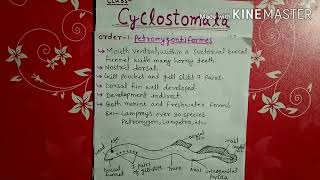 Class cyclostomata explained in Hindi [upl. by Aleakim]