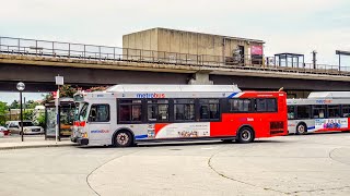 WMATA Metrobus 2005 Orion VII CNG 2550 On Route 83 [upl. by Childers]