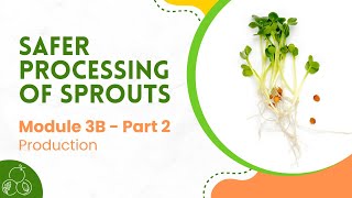 Sprouts Module 3B Sprout Production  Part 2 [upl. by Michella336]