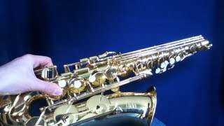 Saxophone reinigen und pflegen  so gehts richtig [upl. by Sarette76]