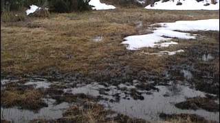 Randonnées dans les Pyrénées  Documentaire nature [upl. by Krisha]