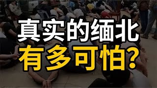 专骗中国人！真实的缅北，远比你想象的更可怕 [upl. by Hgielak]