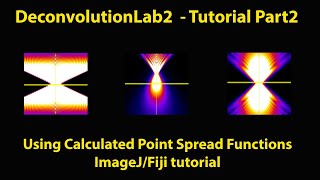 Using different PSFs for Deconvolution ImageJFiji [upl. by Cordula]