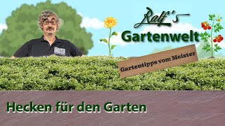 Hecken für den Garten I Gartentipps vom Meister I Ralf´s Gartenwelt [upl. by Rosecan]