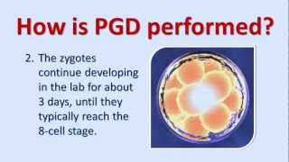 An Introduction To Preimplantation Genetic Diagnosis PGD [upl. by Anileda]