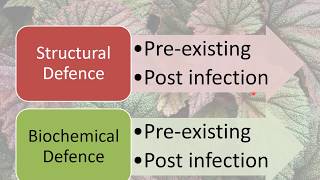 Resistance Mechanisms in Plants [upl. by Laaspere605]