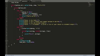 How to use getopt in C [upl. by Conias78]