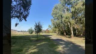 Mansfield Botanic Park Dog Off Leash Area Mansfield [upl. by Maleeny]