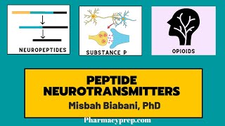 Peptide neurotransmitters medicinal chemistry and pharmacology [upl. by Ahseetal]