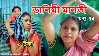 Dalimi Maloti 5 toka খণ্ড৩৪  Assamese funny video  assamese comedy video [upl. by Amoreta]