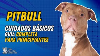 🐾🐶CUIDADOS PARA TU PITBULL [upl. by Winfrid]