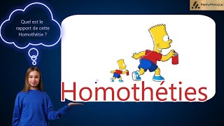 3eme  24  Homothéties  Calculer le rapport dhomothétie [upl. by Merlin]