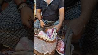 Incredible Giant Grouper Fish Cutting Skills Live In Fish Market  Part2 shorts [upl. by Enilasor]