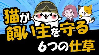 猫が飼い主や子供を守る・助けている仕草と理由を詳しく解説 [upl. by Buffo]