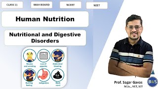 Nutritional and Digestive Disorders  Human Nutrition  11th Biology  Maharashtra Board  NCERT [upl. by Knick]