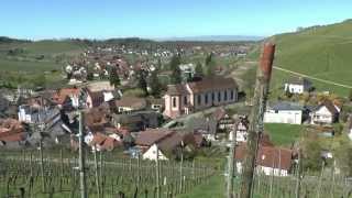 Weinwanderung Durbach [upl. by Rramal]