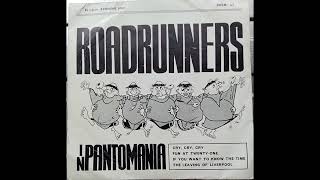 The Roadrunners  The Leaving Of Liverpool 1965 from Roadrunners In Pantomania EP [upl. by Ailat377]