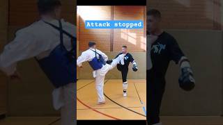 Attack stopped shorts taekwondo [upl. by Fortuna]