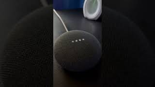 Google Nest mini Startsound [upl. by Dowzall]