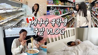 🇨🇦캐나다 유학생 vlog│학교 입학하고 첫 주말 너무 기다렸어요 마라탕도 먹으러 가고 한국마트 가서 한국 음식도 잔뜩 사왔습니다 역시 주말이 최고다│헬로음이유니 [upl. by Selima]