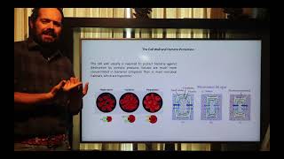 Diferencias entre la pared de bacterias gram positivas y gram negativas [upl. by Stanford719]