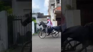 घोड़ा chala rha cycle 😂 comedy funny shorts [upl. by Hengel]