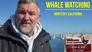 Monterey Whale Watching  California [upl. by Suoivatram]