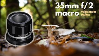 Heres what Voigtlanders 35mm f2 DX macro looks like Autumn colours on Nikon Z fc [upl. by Johnna]