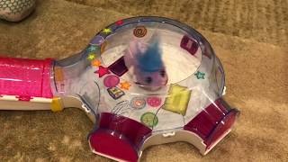 Zhu Zhu Pets Hamster House Playset Unboxing amp Building [upl. by Jentoft]