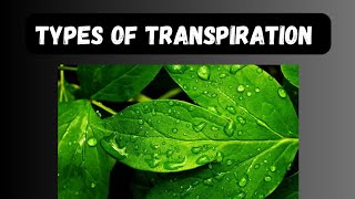 Types of transpiration [upl. by Gaul]