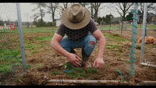 Stetson Bozeman Hat Mushroom  Fixing Fence for Chickens [upl. by Nahtaj391]