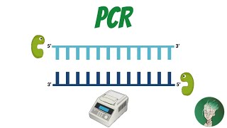 Polymerase Chain Reaction PCR  شرح بالعربي [upl. by Sherrill244]